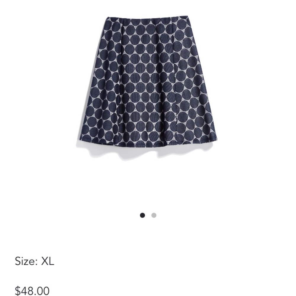 Renee C Stitchfix skirt NWT